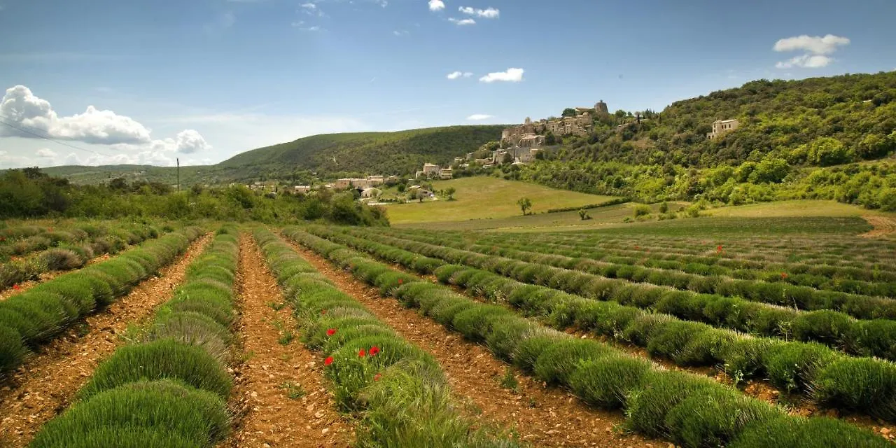 La Cerisaie, Maison Spacieuse En Luberon Saint-Martin-de-Castillon 0*,  France